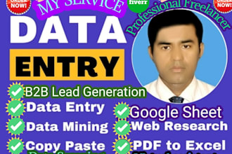 do b2b lead speeds, web research and data entry,