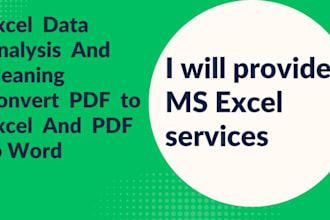 do excel data analysis, data cleaning, convert pdf to excel, pdf to word,typing