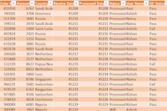 do big data handling with formatting in excel within in day