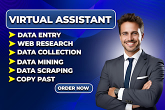 do fast data entry, web research, copy paste and typing, web scraping expert