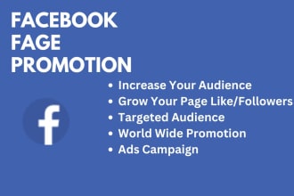 run an advertising campaign to promote your facebook page