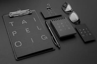 design a memorable, unique and professional logo