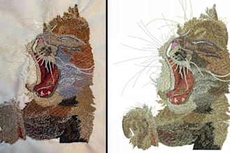 do embroidery digitizing into emb,dst,xxx,pes in 1 hour