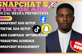 run high converting tiktok ads snapchat ads facebook ads ugc video