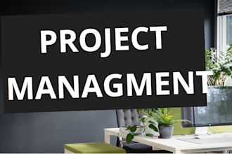 do expert project management jobs