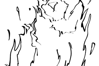 create custom digital coloring pages