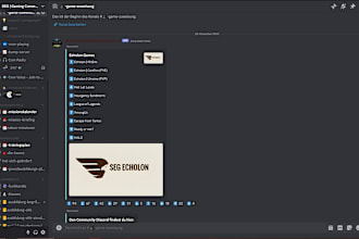 set up discord server and bots for small groups up to gaming clans