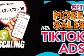 setup tik tok ads campaign, tik tok ads media buyer, manage tik tok ads video