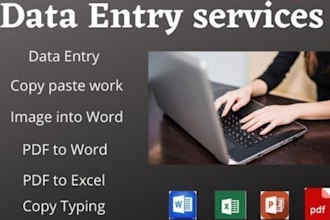 provide efficient data entry services and fast typing