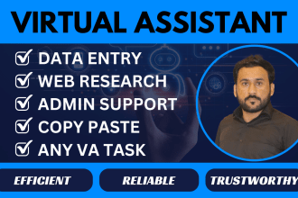 do any virtual assistant, web research and data entry job