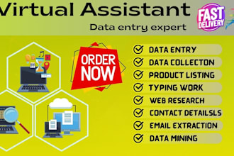 data entry, lead gen, email collection, data research,  conversion
