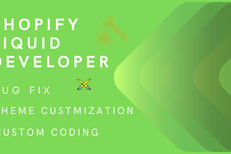 deliver expert shopify liquid customization for your store