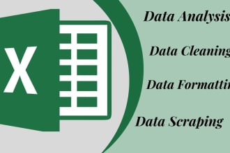 ms excel data cleaning and data sorting or analyzing