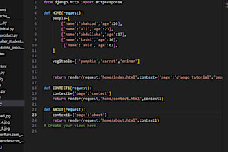 expert python script coding