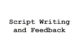 review and revise or write you a new script or a screenplay