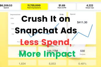 run and be snapchat ads manager for your business