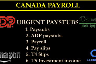 do urgent paystub, adp paystub, payslip check stubs with t4