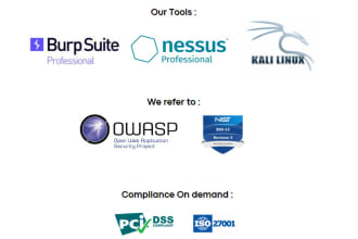 do automate vulnerability assessment and penetration testing