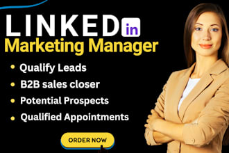 be your linkedin marketing manager, b2b sales manager and b2b appointment setter