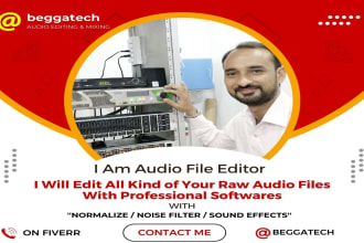 edit your urdu audio raw file filter all noise