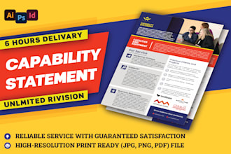 do a professional and catchy federal government capability statement