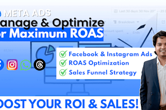 manage and optimize meta ads for maximum roas