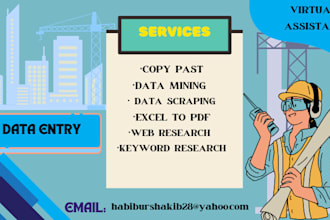 do data entry into your desired website