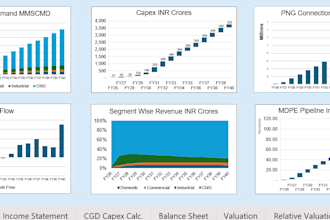 create a professional financial model, dcf, lbo, wacc, irr, npv report
