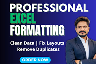 do professional excel data formatting, cleaning, and organization