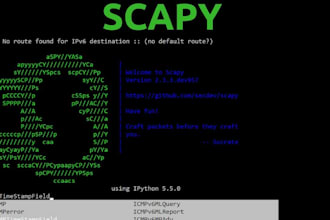 develop scapy and socket programming projects