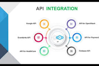 design website and api integration and fix bugs
