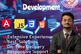 be your full stack web developer in HTML, CSS, javascript and angular