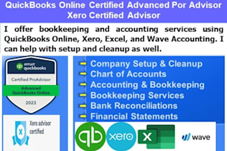 do bookkeeping, setup, cleanup, reconcil, on quickbooks, xero, , wave accounting