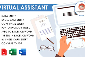 do data entry, copy paste and retype scanned documents