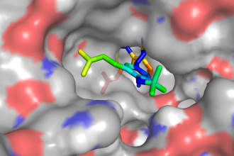 virtual screen 5k ligands using molecular docking