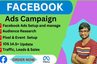 setup and manage facebook ads campaign for leads and sales