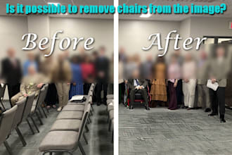 skilled image manipulation artist