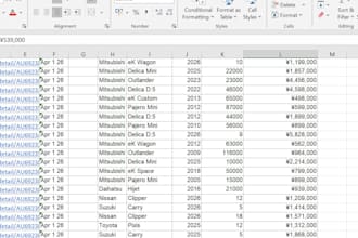 do data entry or input data to excel or website