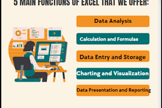 expertly work on excel dashboard and functons