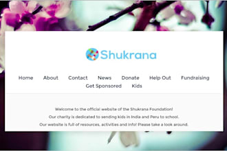 professionally design a beautiful weebly or wix website