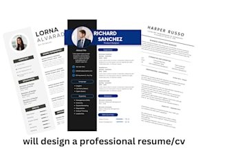 design your resume or cv within 24 hrs