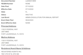 reinstate your US llc