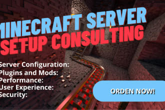 minecraft server setup consulting