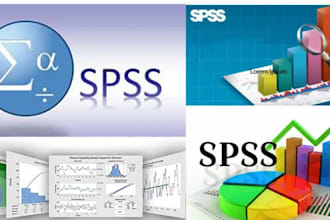 perform statistical data analysis with spss, r, or excel