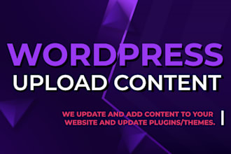 professionally edit and update your wordpress content