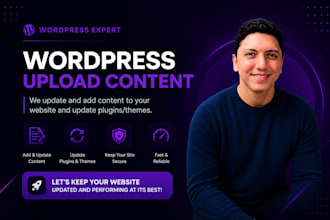 professionally edit and update your wordpress content