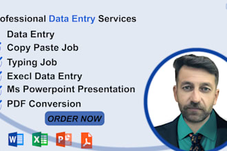do fast accurate data entry PDF conversion pro