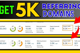 build 5k unique referring domain seo backlinks redirected