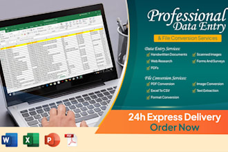 do data entry and file conversion job in low price