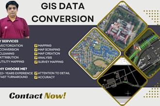 do gis data collection, cleaning, geocoding, spatial maps analysis, or reporting